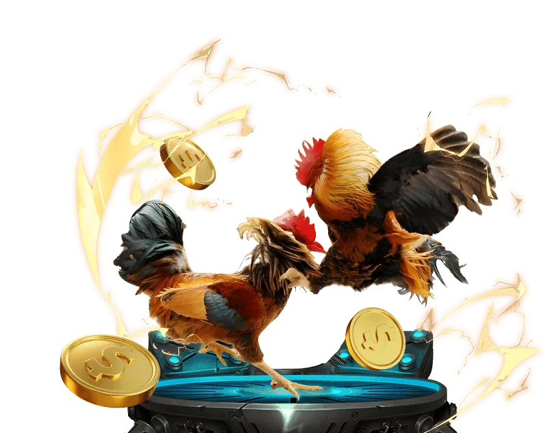 Các lý do nên chọn Gacam888